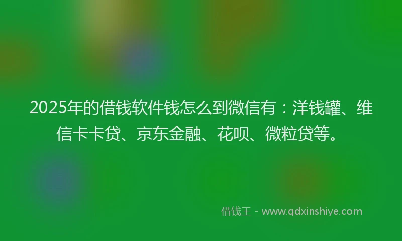 2025年的借钱软件钱怎么到微信有：洋钱罐、维信卡卡贷、京东金融、花呗、微粒贷等。