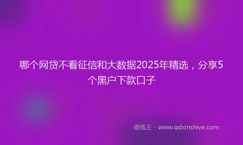 哪个网贷不看征信和大数据2025年精选，分享5个黑户下款口子