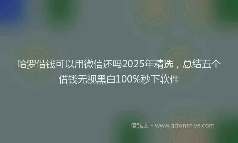 哈罗借钱可以用微信还吗2025年精选，总结五个借钱无视黑白100%秒下软件