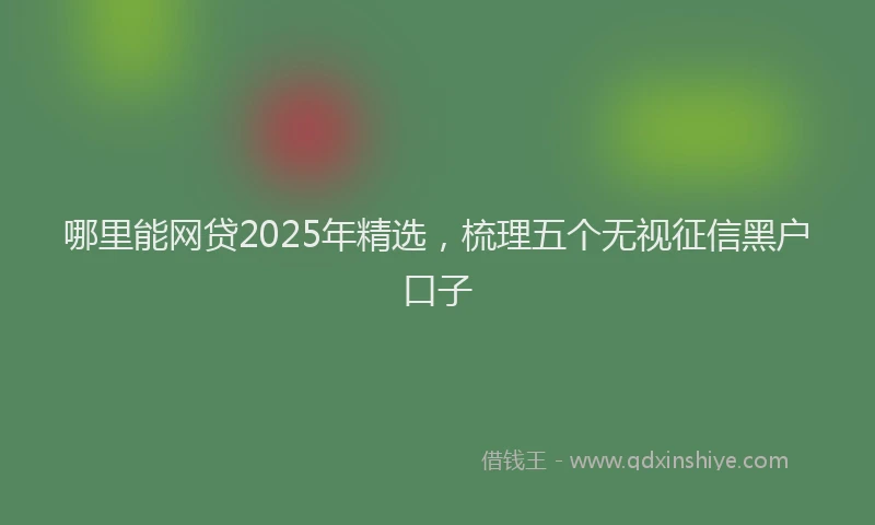 哪里能网贷2025年精选，梳理五个无视征信黑户口子