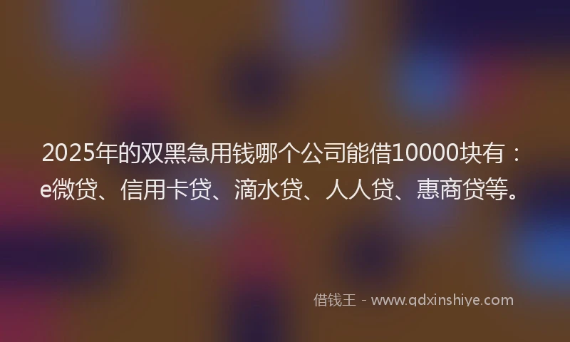2025年的双黑急用钱哪个公司能借10000块有：e微贷、信用卡贷、滴水贷、人人贷、惠商贷等。