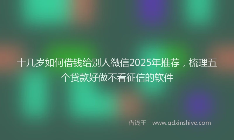 十几岁如何借钱给别人微信2025年推荐，梳理五个贷款好做不看征信的软件