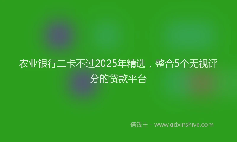 农业银行二卡不过2025年精选，整合5个无视评分的贷款平台