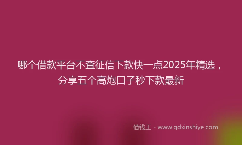 哪个借款平台不查征信下款快一点2025年精选，分享五个高炮口子秒下款最新