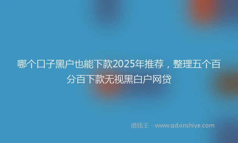 哪个口子黑户也能下款2025年推荐，整理五个百分百下款无视黑白户网贷