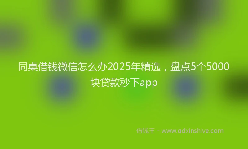 同桌借钱微信怎么办2025年精选，盘点5个5000块贷款秒下app