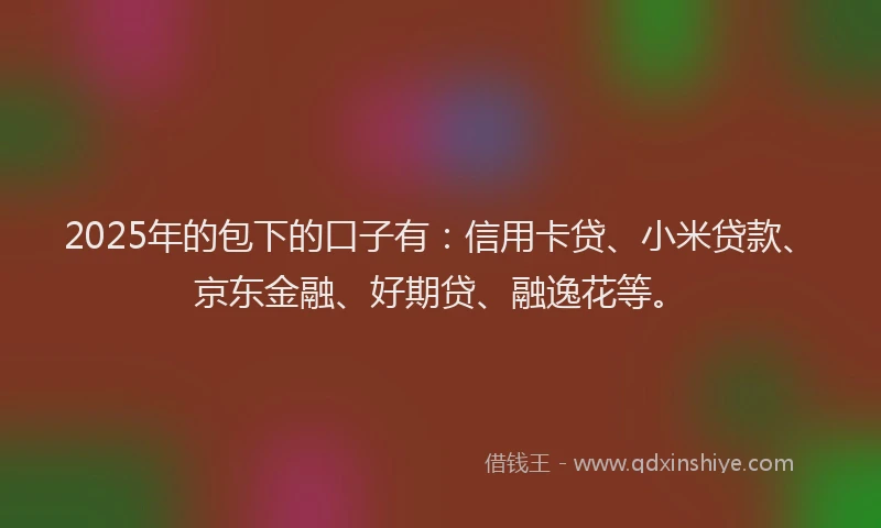 2025年的包下的口子有：信用卡贷、小米贷款、京东金融、好期贷、融逸花等。