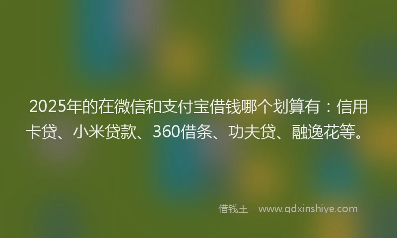 2025年的在微信和支付宝借钱哪个划算有：信用卡贷、小米贷款、360借条、功夫贷、融逸花等。