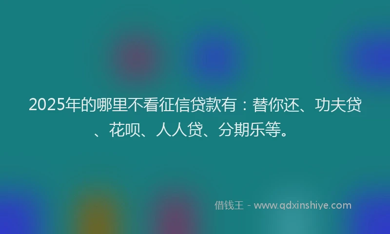2025年的哪里不看征信贷款有：替你还、功夫贷、花呗、人人贷、分期乐等。