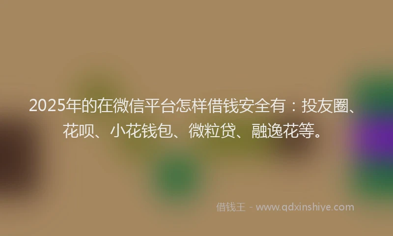 2025年的在微信平台怎样借钱安全有：投友圈、花呗、小花钱包、微粒贷、融逸花等。