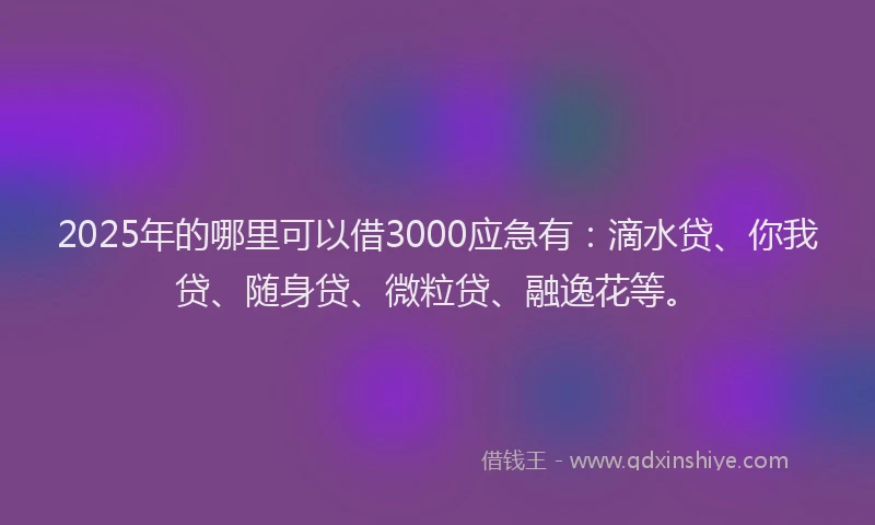 2025年的哪里可以借3000应急有：滴水贷、你我贷、随身贷、微粒贷、融逸花等。