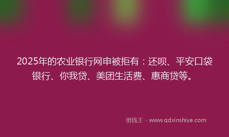 2025年的农业银行网申被拒有：还呗、平安口袋银行、你我贷、美团生活费、惠商贷等。