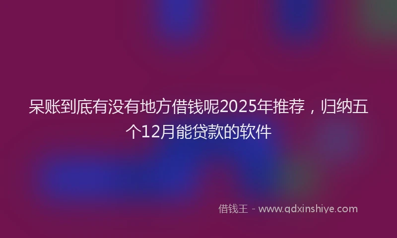 呆账到底有没有地方借钱呢2025年推荐，归纳五个12月能贷款的软件