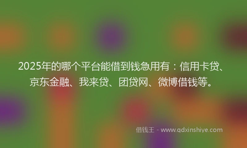 2025年的哪个平台能借到钱急用有：信用卡贷、京东金融、我来贷、团贷网、微博借钱等。