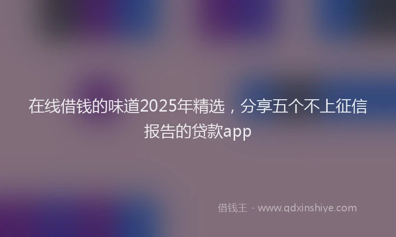 在线借钱的味道2025年精选，分享五个不上征信报告的贷款app