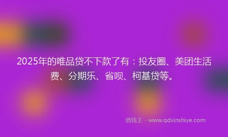2025年的唯品贷不下款了有：投友圈、美团生活费、分期乐、省呗、柯基贷等。
