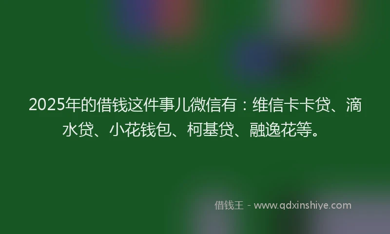 2025年的借钱这件事儿微信有：维信卡卡贷、滴水贷、小花钱包、柯基贷、融逸花等。