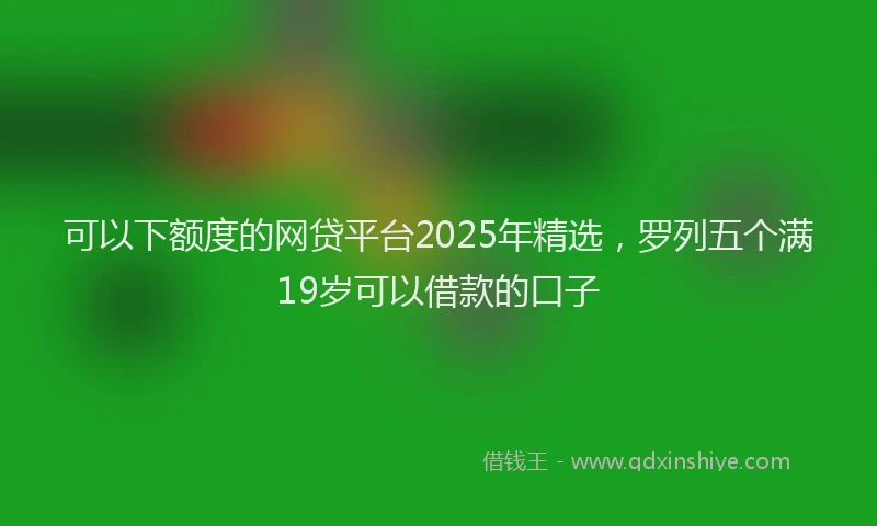 可以下额度的网贷平台2025年精选，罗列五个满19岁可以借款的口子