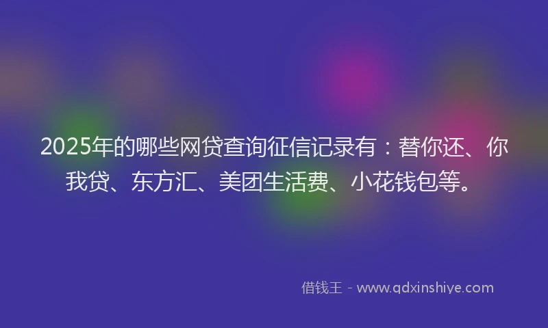 2025年的哪些网贷查询征信记录有：替你还、你我贷、东方汇、美团生活费、小花钱包等。