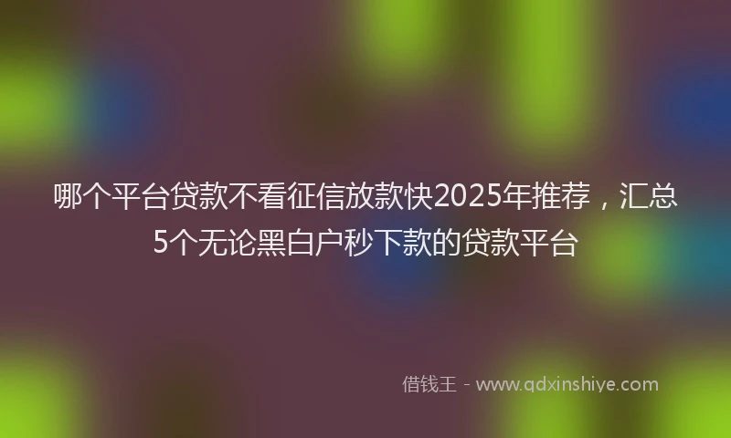 哪个平台贷款不看征信放款快2025年推荐，汇总5个无论黑白户秒下款的贷款平台