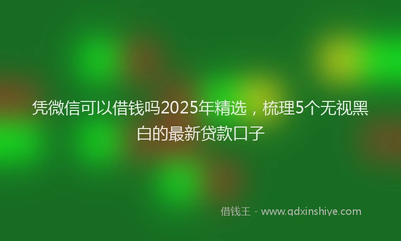凭微信可以借钱吗2025年精选，梳理5个无视黑白的最新贷款口子