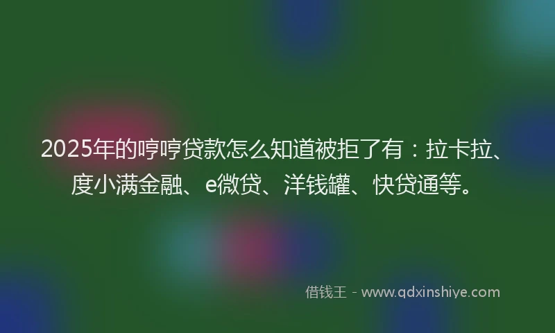 2025年的哼哼贷款怎么知道被拒了有：拉卡拉、度小满金融、e微贷、洋钱罐、快贷通等。