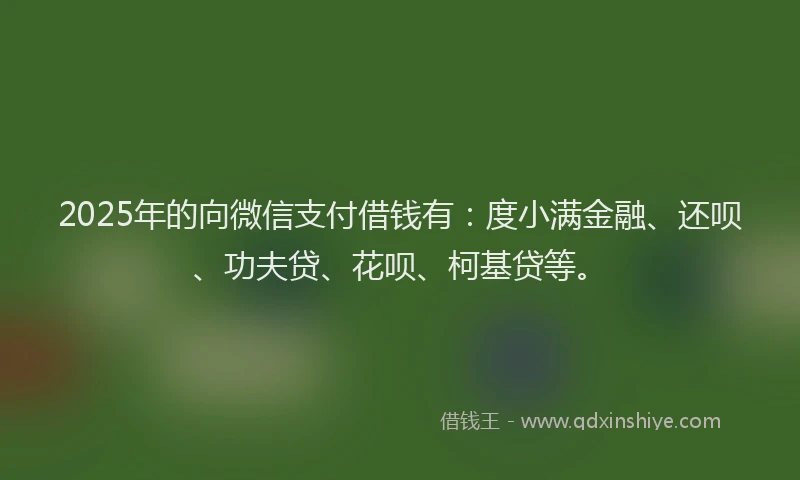 2025年的向微信支付借钱有：度小满金融、还呗、功夫贷、花呗、柯基贷等。