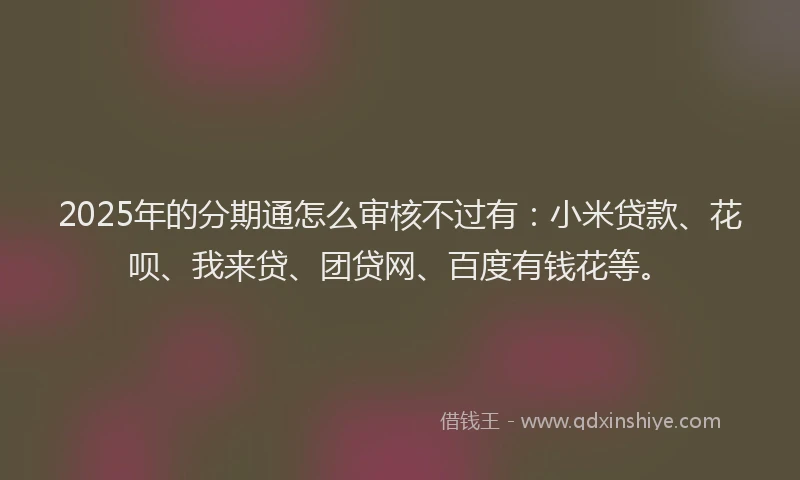 2025年的分期通怎么审核不过有：小米贷款、花呗、我来贷、团贷网、百度有钱花等。