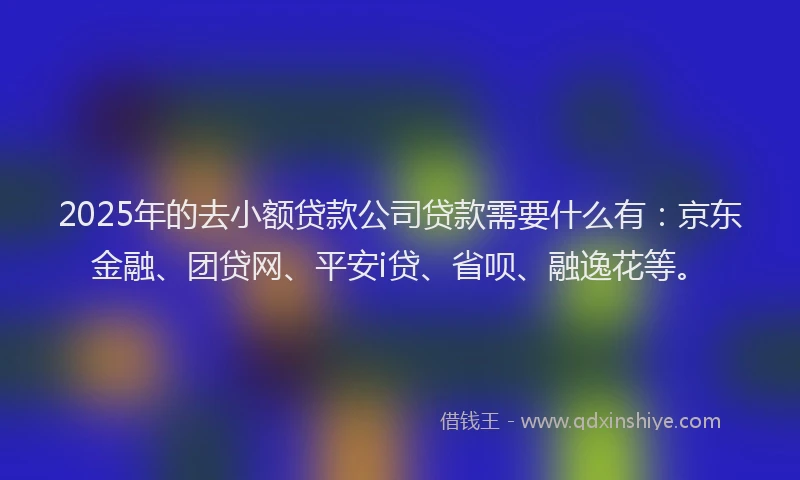 2025年的去小额贷款公司贷款需要什么有：京东金融、团贷网、平安i贷、省呗、融逸花等。