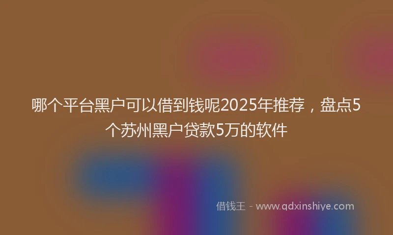 哪个平台黑户可以借到钱呢2025年推荐，盘点5个苏州黑户贷款5万的软件