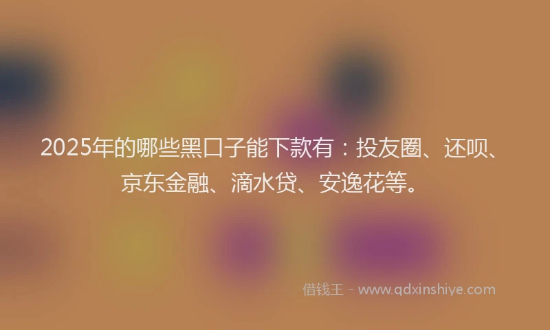 2025年的哪些黑口子能下款有：投友圈、还呗、京东金融、滴水贷、安逸花等。