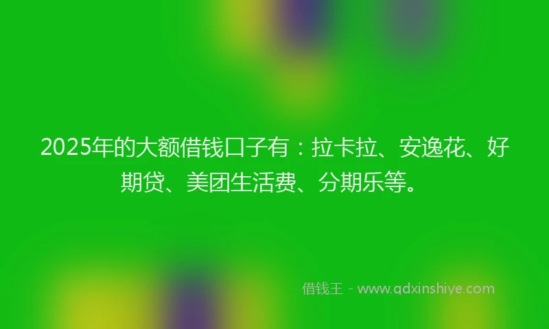 2025年的大额借钱口子有：拉卡拉、安逸花、好期贷、美团生活费、分期乐等。