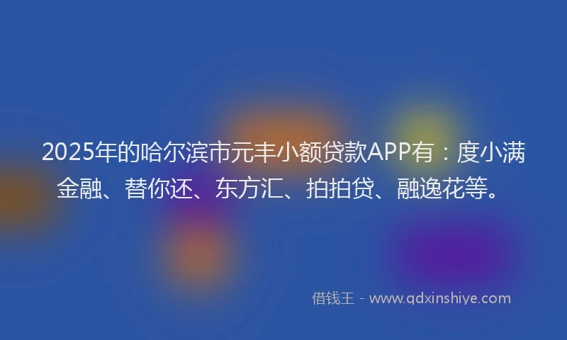 2025年的哈尔滨市元丰小额贷款APP有：度小满金融、替你还、东方汇、拍拍贷、融逸花等。