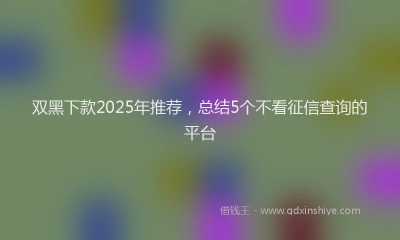 双黑下款2025年推荐，总结5个不看征信查询的平台