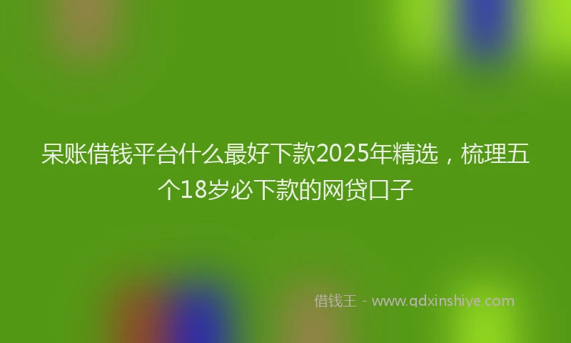 呆账借钱平台什么最好下款2025年精选，梳理五个18岁必下款的网贷口子