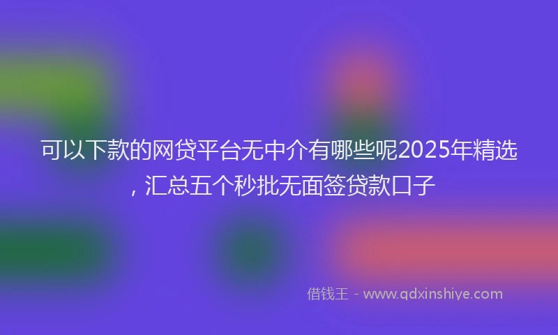 可以下款的网贷平台无中介有哪些呢2025年精选，汇总五个秒批无面签贷款口子