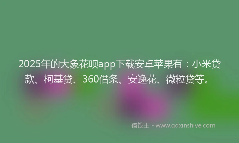 2025年的大象花呗app下载安卓苹果有：小米贷款、柯基贷、360借条、安逸花、微粒贷等。