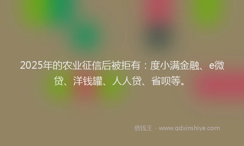 2025年的农业征信后被拒有：度小满金融、e微贷、洋钱罐、人人贷、省呗等。