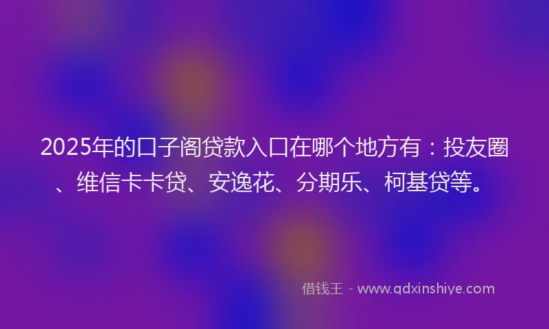 2025年的口子阁贷款入口在哪个地方有：投友圈、维信卡卡贷、安逸花、分期乐、柯基贷等。