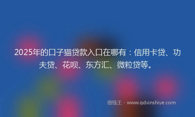 2025年的口子猫贷款入口在哪有：信用卡贷、功夫贷、花呗、东方汇、微粒贷等。