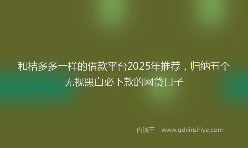 和桔多多一样的借款平台2025年推荐，归纳五个无视黑白必下款的网贷口子