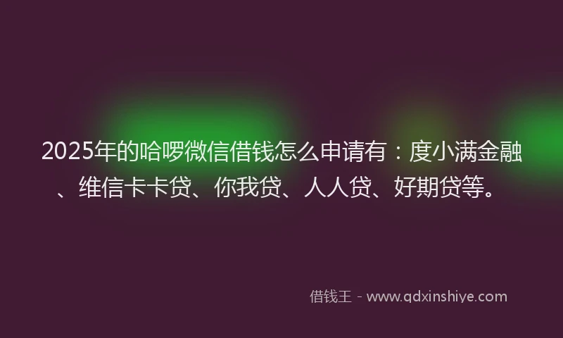 2025年的哈啰微信借钱怎么申请有：度小满金融、维信卡卡贷、你我贷、人人贷、好期贷等。