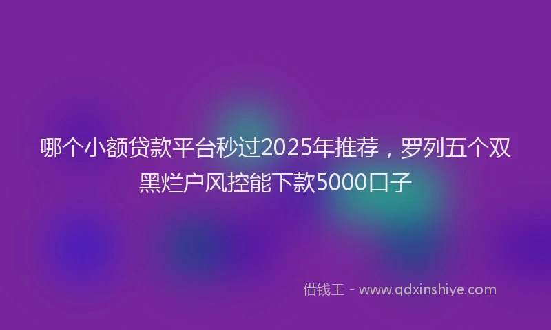 哪个小额贷款平台秒过2025年推荐，罗列五个双黑烂户风控能下款5000口子