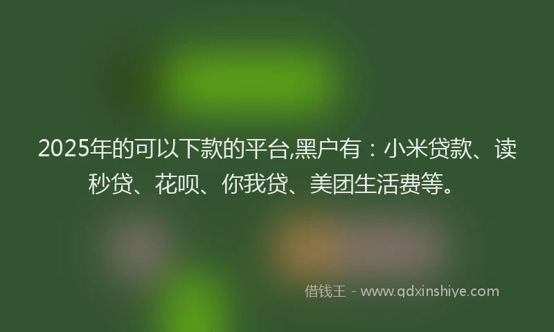 2025年的可以下款的平台,黑户有：小米贷款、读秒贷、花呗、你我贷、美团生活费等。