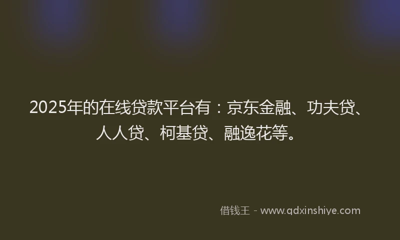 2025年的在线贷款平台有：京东金融、功夫贷、人人贷、柯基贷、融逸花等。