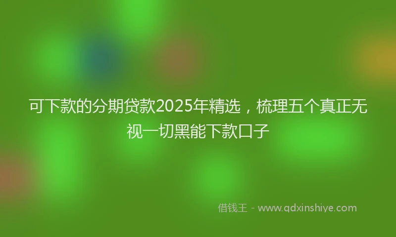 可下款的分期贷款2025年精选，梳理五个真正无视一切黑能下款口子