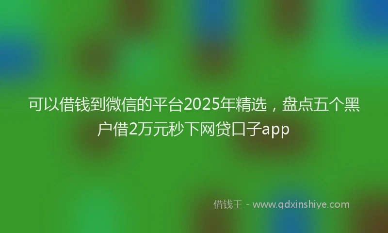 可以借钱到微信的平台2025年精选，盘点五个黑户借2万元秒下网贷口子app