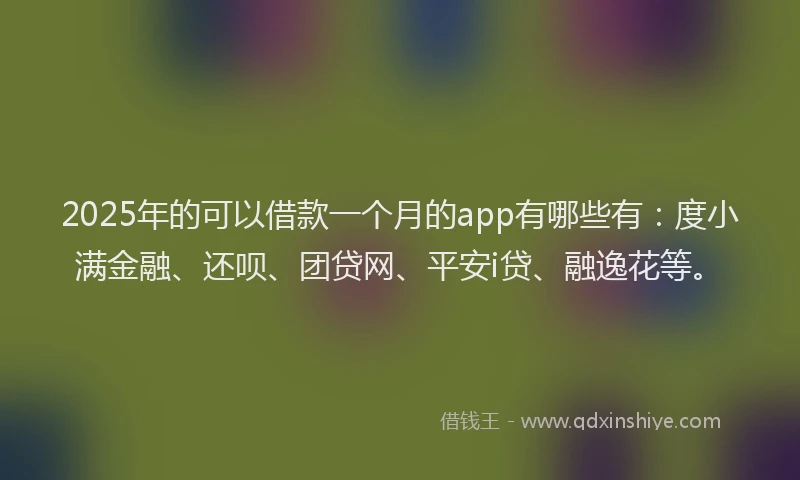 2025年的可以借款一个月的app有哪些有：度小满金融、还呗、团贷网、平安i贷、融逸花等。