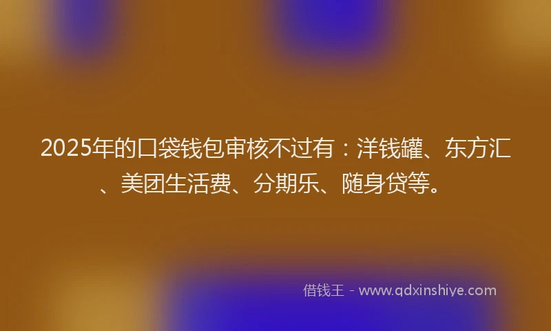 2025年的口袋钱包审核不过有：洋钱罐、东方汇、美团生活费、分期乐、随身贷等。