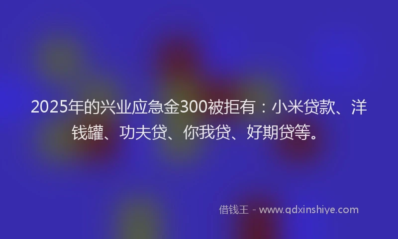 2025年的兴业应急金300被拒有：小米贷款、洋钱罐、功夫贷、你我贷、好期贷等。